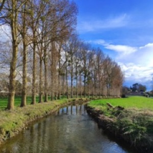 Quand Bayeux rime avec ciel bleu. Tapisserie rime avec 
